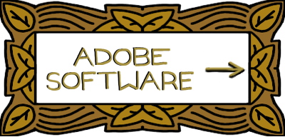 TO ADOBE SOFTWARE