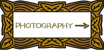 TO PHOTOGRAPHY