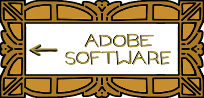 TO ADOBE SOFTWARE