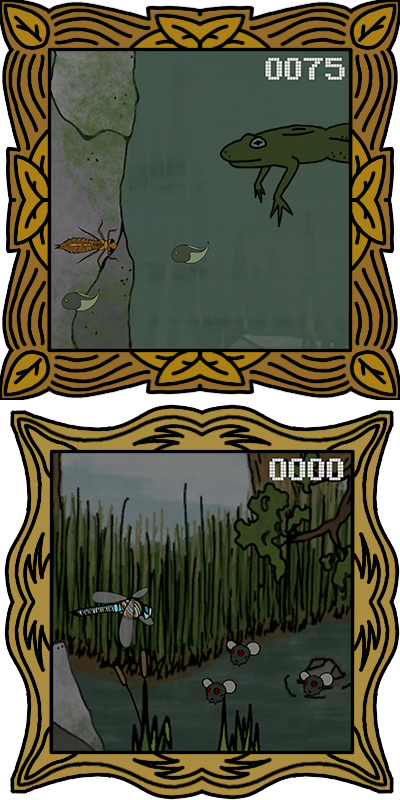 Odonata Odyssey (2025)