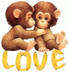 monkey love